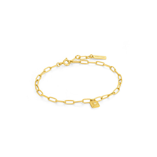 Ladies' Bracelet Ania Haie B032-01G 19 cm-0